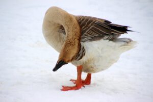 自分に合ったヘアケアを見つける方法はどれ？