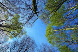 髪の毛のくせ毛を改善するための効果的な方法は？