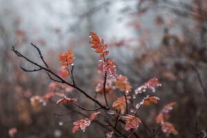 髪の毛をしっとりさせるための効果的な方法は？